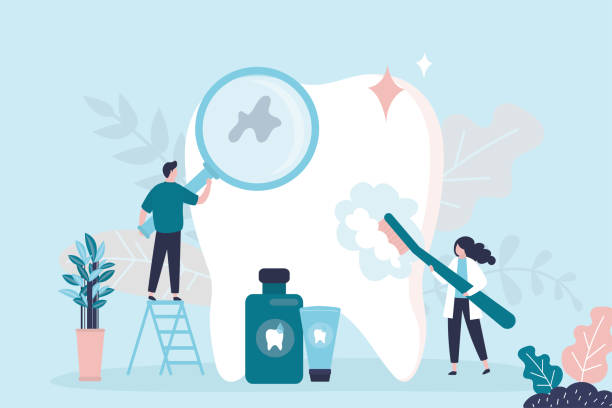  Wakefield, NE Holistic Dental Services Pros